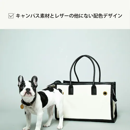 CITYDOG �p�C�s���O�g�[�g�L�����[-S-�x�[�W��_8