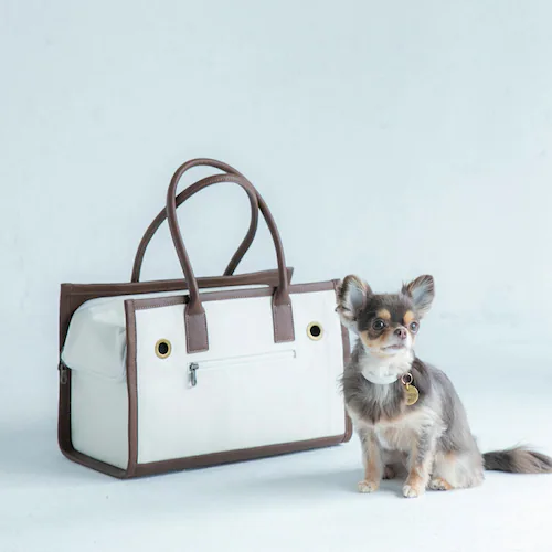 CITYDOG �p�C�s���O�g�[�g�L�����[-S-�x�[�W��_17