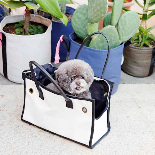 CITYDOG �p�C�s���O�g�[�g�L�����[-S-�x�[�W��_18