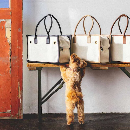 CITYDOG �p�C�s���O�g�[�g�L�����[-S-�x�[�W��_21