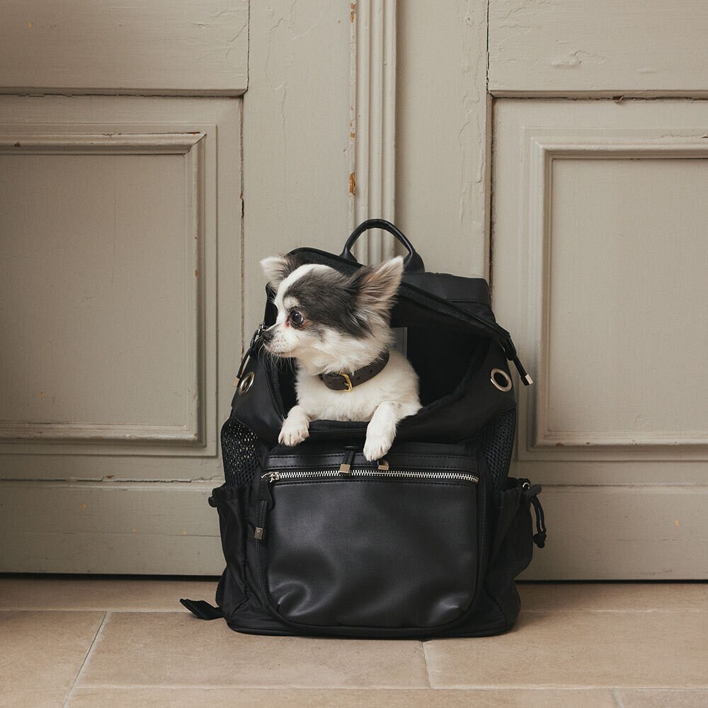 CITYDOG ペットリュック シティバックパックキャリー-S- オリーブ CITYDOG ペットリュック シティバックパックキャリー-S- オリーブ