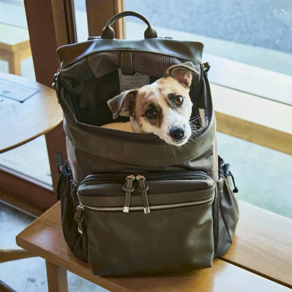 シティバックパックキャリーM オリーブ CITYDOG ペットリュック シティバックパックキャリー-S- オリーブ