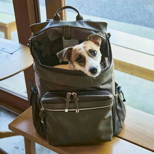 CITYDOG �y�b�g�����b�N �V�e�B�o�b�N�p�b�N�L�����[-S- �u���b�N_17