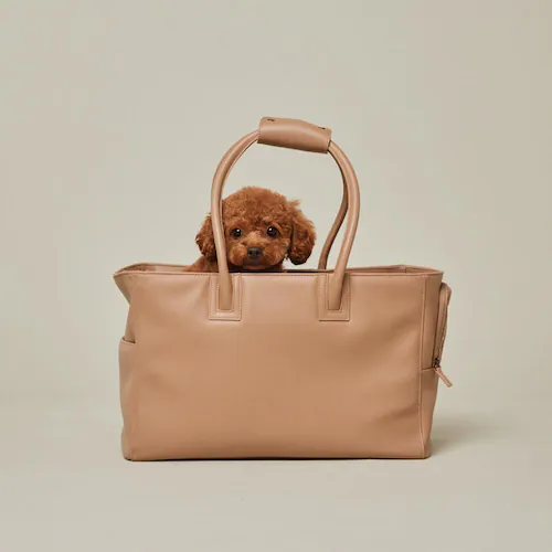 CITYDOG �V�e�B�g�[�g�L�����[  -M- �u���b�N_18