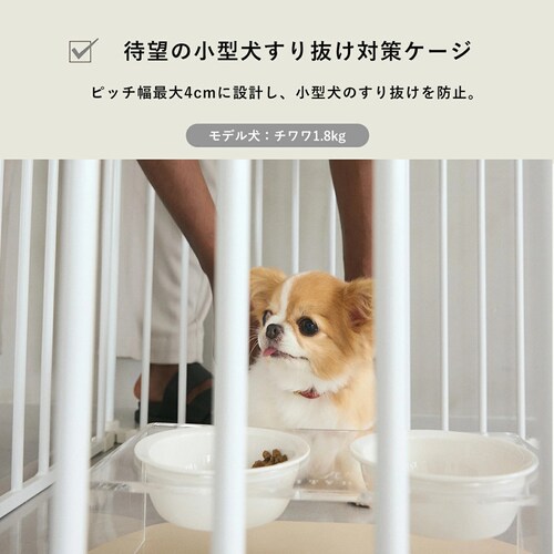 CITYDOG �V���v�����_���P�[�W�V���[�g�s�b�`�^�C�v�@�z���C�g_4