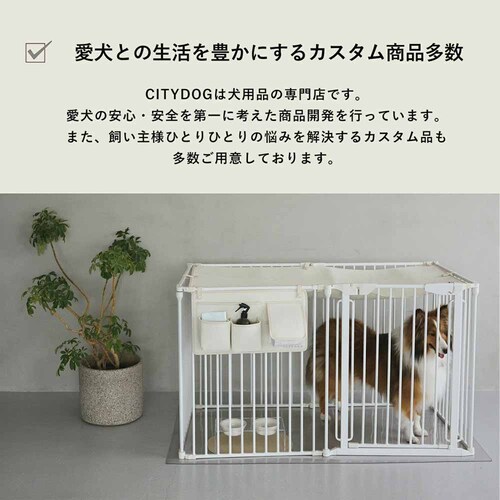 CITYDOG �V���v�����_���P�[�W�V���[�g�s�b�`�^�C�v�@�z���C�g_6