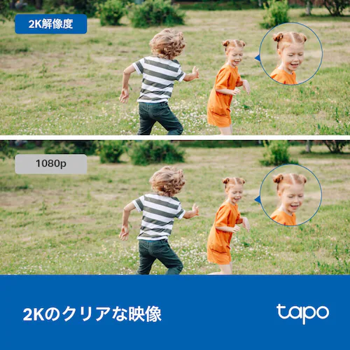 �y25%OFF�zTP-Link ���O�l�b�g���[�N�J���� Tapo C310 �y�v���U�Z���N�g�z_2