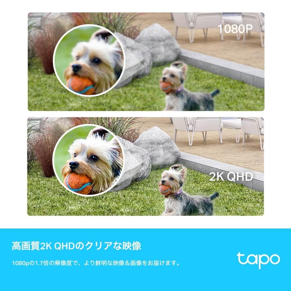 TP-Link フルワイヤレスセキュリティカメラシステム Tapo C420S2