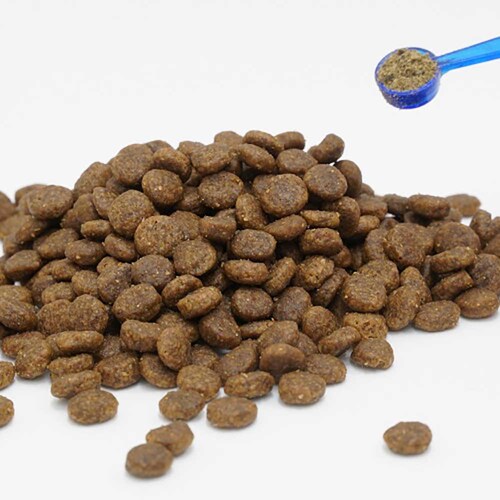 ライトハウス プロデン デンタルケア パウダー 犬用 40g 【プラザセレクト】_3