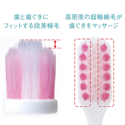 LION �V�X�e�} �n�O�L�v���X �v���~�A�� �n�~�K�L 4�_�Z�b�g�i�n�~�K�L�E�n�u���V�~2�E�f���^�������X�j ���C�����n�[�u�~���g/�ӂ��y�v���U�Z���N�g�z_3