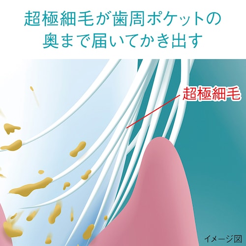 LION �V�X�e�} �n�O�L�v���X �v���~�A�� �n�~�K�L 4�_�Z�b�g�i�n�~�K�L�E�n�u���V�~2�E�f���^�������X�j ���C�����n�[�u�~���g/�ӂ��y�v���U�Z���N�g�z_4