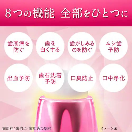 LION �V�X�e�} �n�O�L�v���X �v���~�A�� �n�~�K�L 4�_�Z�b�g�i�n�~�K�L�E�n�u���V�~2�E�f���^�������X�j ���C�����n�[�u�~���g/�ӂ��y�v���U�Z���N�g�z_6