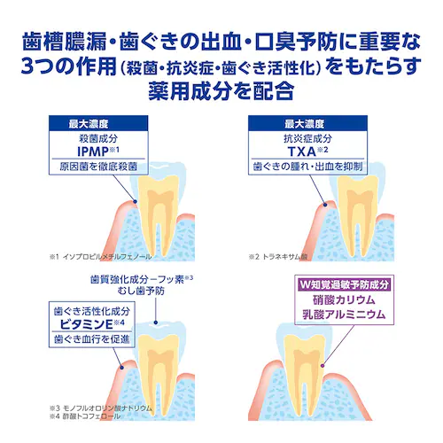 LION デントヘルス 薬用ハミガキ 4点セット(ハミガキ・ハブラシ×2・デンタルフロス) しみるブロック/やわらかめ【プラザセレクト】_9