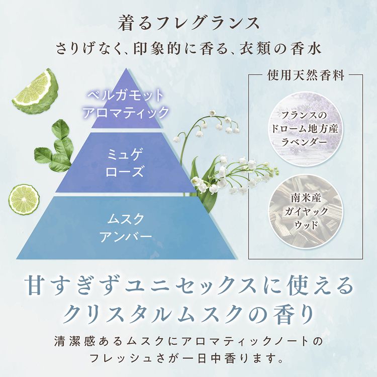 NSファーファ ファーファファインフレグランス 本体 570ml オム