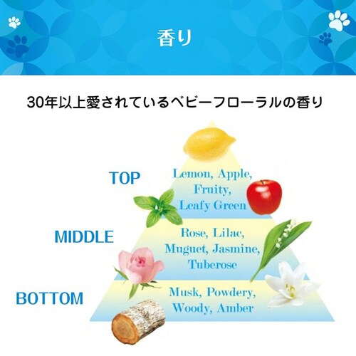 NS�t�@�[�t�@ �t�@�[�t�@ 3�{�Z�k���R���p�N�g������� 500g ���� _6