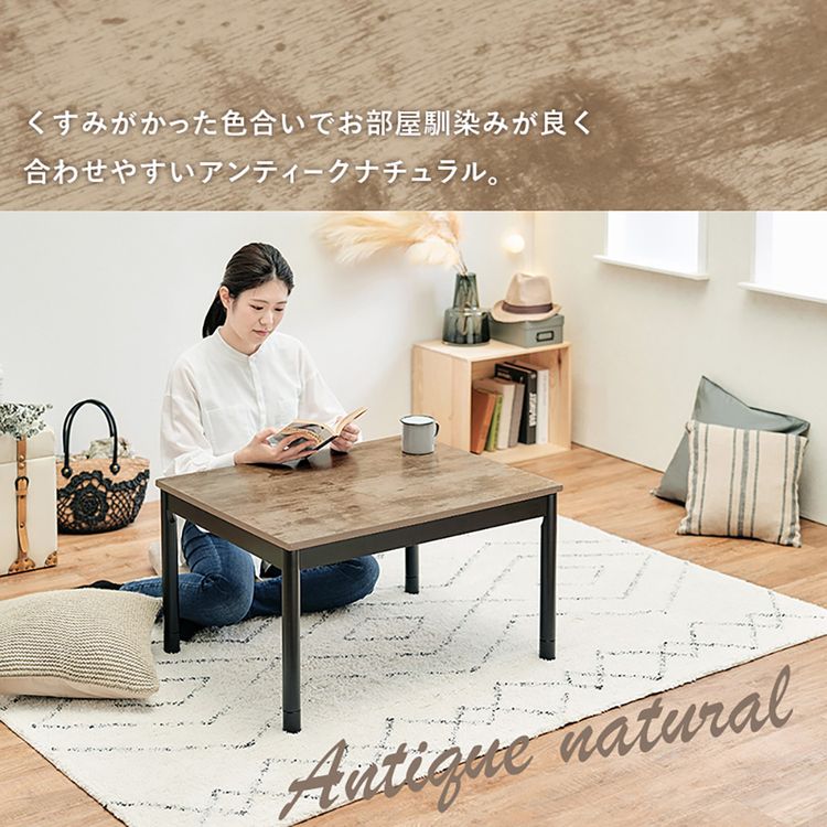 こたつ＋うす掛け布団 2点セット ｱﾙﾃﾅ7560ANA+ﾋﾞｹ7560BE 本体