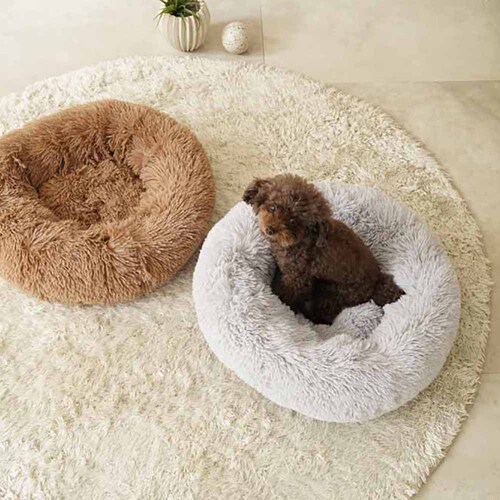 �y�b�g�x�b�h �H�~ adorable pets �C�G�e�B �t�J�t�J���E���h�x�b�h M �u���E�� RB-145MBR_5