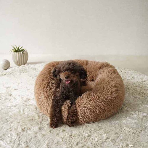 �y�b�g�x�b�h �H�~ adorable pets �C�G�e�B �t�J�t�J���E���h�x�b�h M �u���E�� RB-145MBR_6