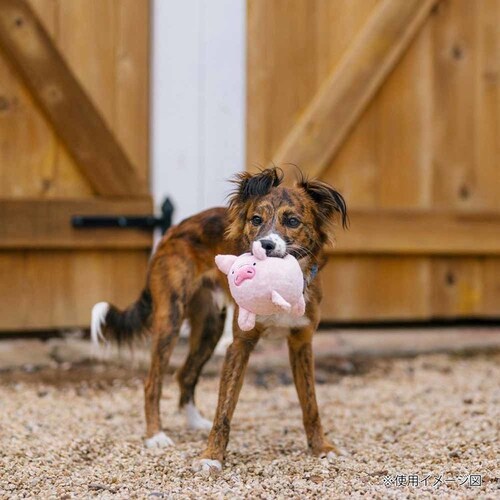 �o�[�����[�h�o�f�B�[�Y �s�b�O���p�������� �ʂ������_7