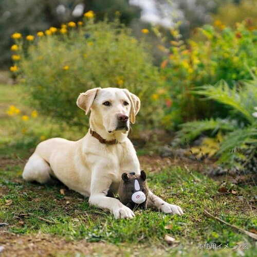 �o�[�����[�h�o�f�B�[�Y �s�b�O���p�������� �ʂ������_9