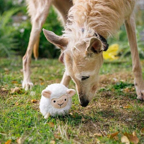 �o�[�����[�h�o�f�B�[�Y �s�b�O���p�������� �ʂ������_10