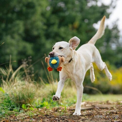 �o�[�����[�h�o�f�B�[�Y �s�b�O���p�������� �ʂ������_11