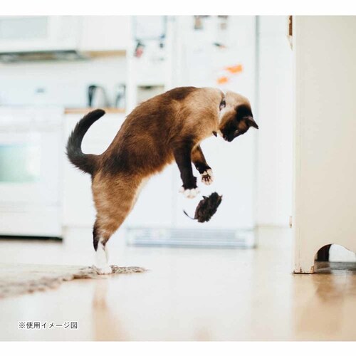 �y2�Z�b�g�z�t�B�[���C���t�����W�[ �}�E�X  �L�p�������� �ʂ������ �v���[���g_5