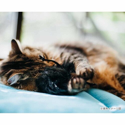 フィーラインフレンジー フリスキーボール 猫用おもちゃ ぬいぐるみ_4