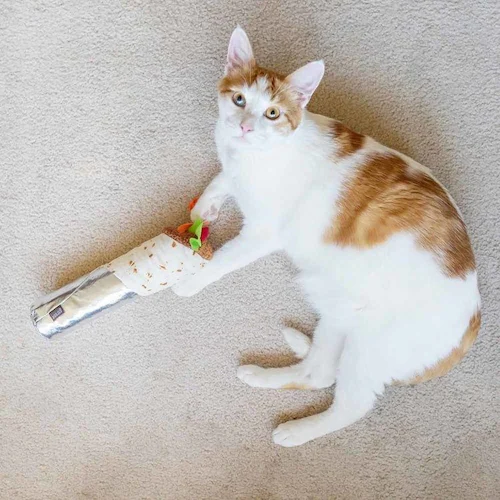 フィーラインフレンジー シュリンプブリトー 猫用おもちゃ ぬいぐるみ_9