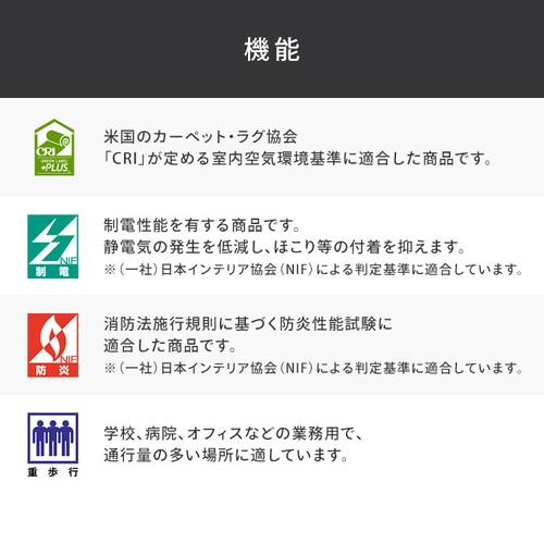NT700S �J�[�y�b�g�^�C�� ���ʂ̂�t N70063S N70063S_6