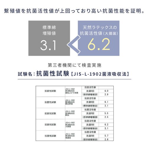 3D�_�C�������h�]�[��10�}�b�g���X �O���[ 23L-3DZ10-S _11