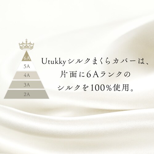 Utukky �V���N���J�o�[ �V�����p���y�v���U�Z���N�g�z_5