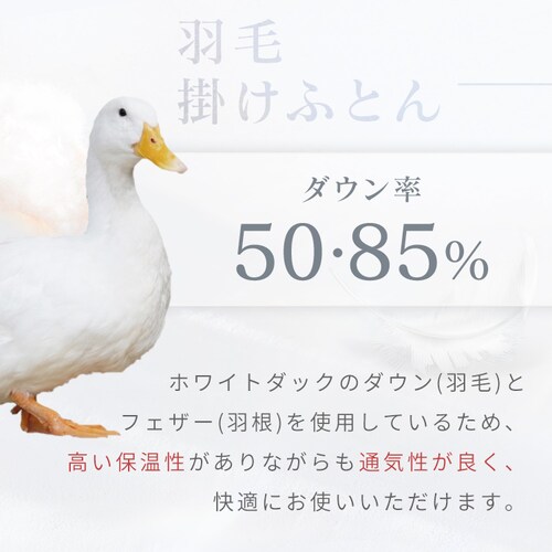 �H��50��3�_�Z�b�g �A�C�{���[�E�z���C�g �y����s�z�y�����s�z�y�v���U�Z���N�g�z_3