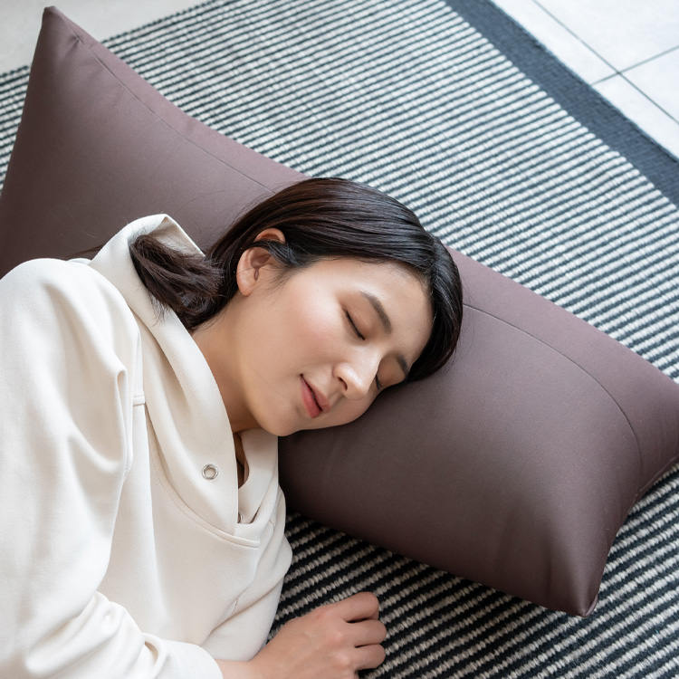 ハグボディピロービーズクッション BG-2460 ブラウン【プラザセレクト