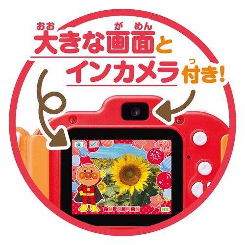 �A���p���}�� �L�b�Y�J���� �J���� �J�����ߋ� �x�r�[�J���� �A�K�c�} _11