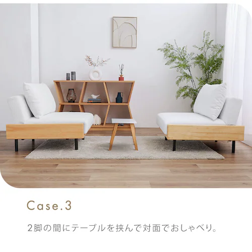 リクライニングソファベッド B2524 ホワイト【プラザセレクト】_10