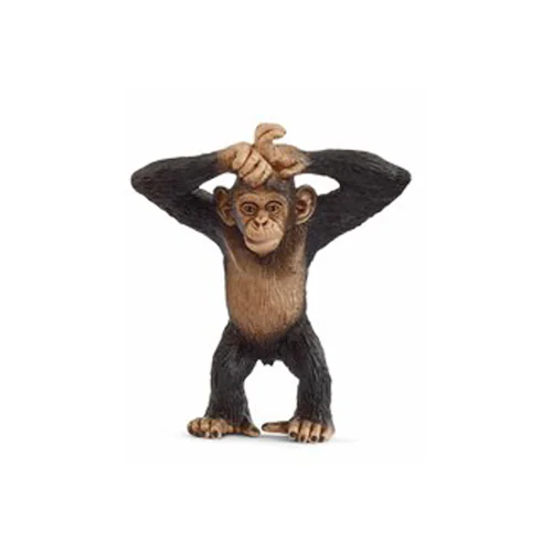 �V�����C�q ���C���h���C�t �A�t���J�̖쐶�����Z�b�g 42721 �y�v���U�Z���N�g�z_9