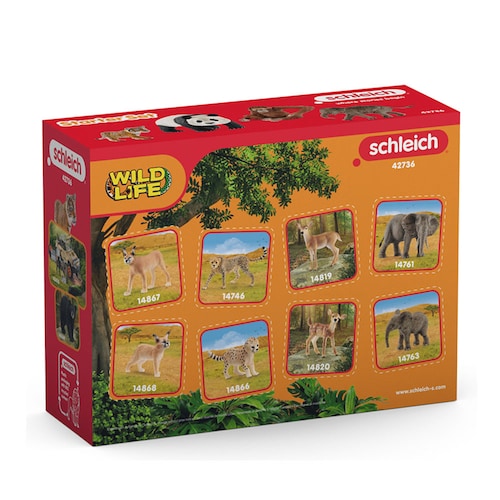 �V�����C�q ���C���h���C�t �A�W�A�̖쐶�����Z�b�g 42736 �y�v���U�Z���N�g�z_3