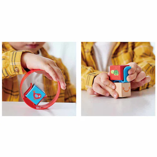 �J���_ �n�y �V�ѕ������ς��J���t���݂� E8866 _6