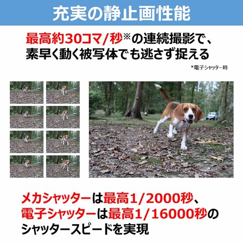 Canon �R���p�N�g�J���� PowerShot V1 �u���b�N PSV1 �y�v���U�Z���N�g�z_11