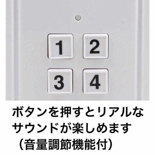 �g�C�R�[ �j�b�T���p�����f�B�b�N�~�}�� �y�v���U�Z���N�g�z_3