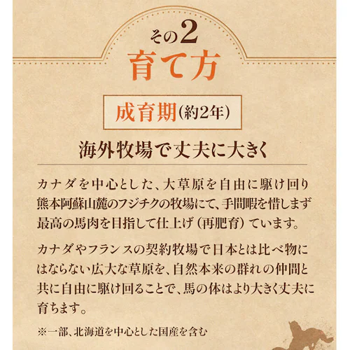 【15%OFFクーポン!】【フジチク】ふじ馬刺し特選詰合せ【彩】2559_8