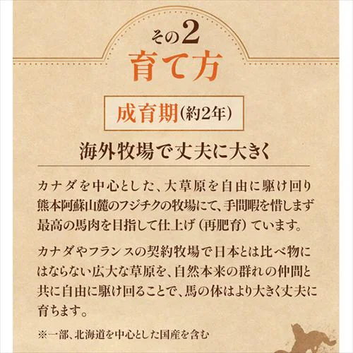 【10%OFFクーポン!】【フジチク】ふじ馬刺し たたきと上赤身のセット 2562 【代引き不可】_9