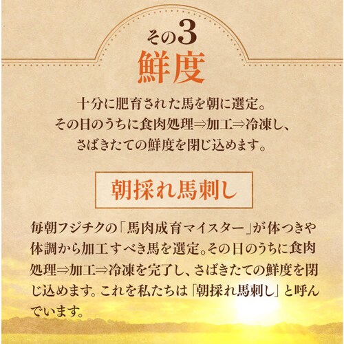 【10%OFFクーポン!】【フジチク】ふじ馬刺し 赤身堪能セット 2511 _10