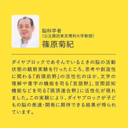 �J���_ �_�C���u���b�N KIHONIRO�i�L�z���C���j L ND-08 �y�v���U�Z���N�g�z_9