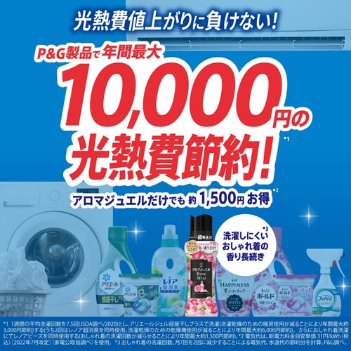 P&G レノア煮沸レベル消臭抗菌ビーズ ミニボトル 260ml 部屋干し 花とおひさまの香り【プラザセレクト】_8