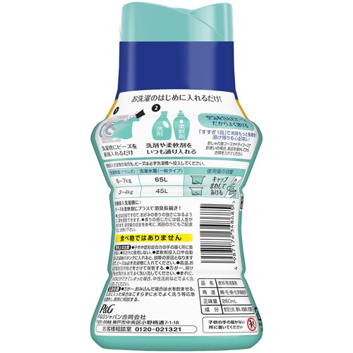 P&G レノア煮沸レベル消臭抗菌ビーズ ミニボトル 260ml 部屋干し 花とおひさまの香り【プラザセレクト】_12