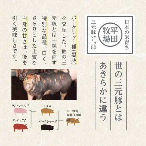 �y���c�q��z���c�q������n���\�[�Z�[�W�l�����Z�b�g CHK23-4_20