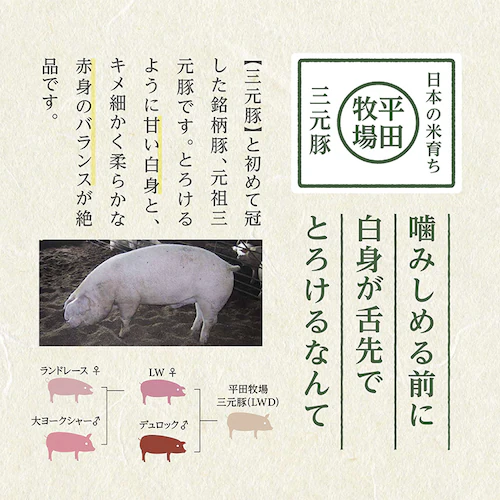 【10%OFFクーポン!】【平田牧場】平田牧場特製ハムソーセージ詰合せセット CHK23-4_4