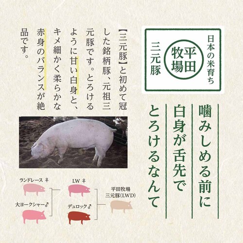 �y���c�q��z���{�̕Ĉ炿�O���� ���[�X����Ԃ���ԃM�t�g JHS-04_17